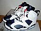 nike jordan 6 shoes
